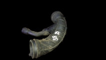 Tubulatura admisie Citroen C3 [2002 - 2010] Hatchb...