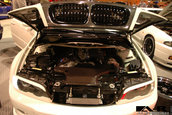 Tuner War 2006