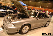 Tuner War 2006