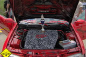 Tuning Experience 2005 CLUJ