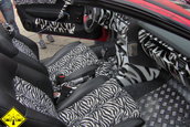 Tuning Experience 2005 CLUJ
