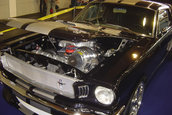Tuning World Bodensee 2006