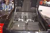 Tuning World Bodensee 2006