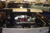 Tuning World Bodensee 2006