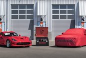 Ultimele exemplare Viper si Demon
