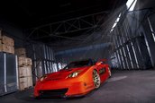 Umbrella NSX