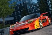 Umbrella NSX