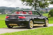 Un A5 Convertible special pentru Radeberger Pilsner