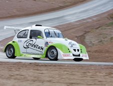 Un Beetle obraznic de 770 kg