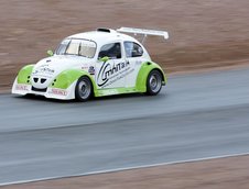 Un Beetle obraznic de 770 kg