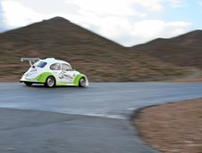 Un Beetle obraznic de 770 kg