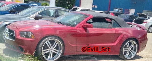 Un Ford Mustang din SUA se crede Dodge Charger. FOTO ca sa te convingi si singur