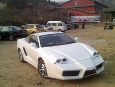 Un Geely Beauty Leopard tunat