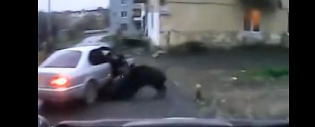 Un mistret ataca mai multi pietoni in Rusia. Cum este acesta capturat?