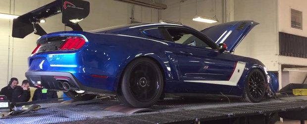 Un Mustang cu 750 CP la roti si eleron cat casa ar putea fi raspunsul la orice