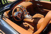 Un nou Bugatti Veyron special: Grand Sport Sang Bleu