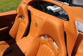 Un nou Bugatti Veyron special: Grand Sport Sang Bleu