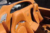Un nou Bugatti Veyron special: Grand Sport Sang Bleu
