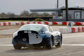 Un Shelby Daytona s-a vandut cu 7,25 milioane$