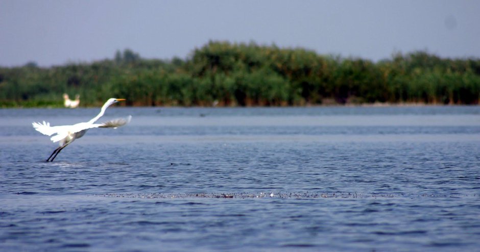 Unde poti ajunge cu masina in Delta?