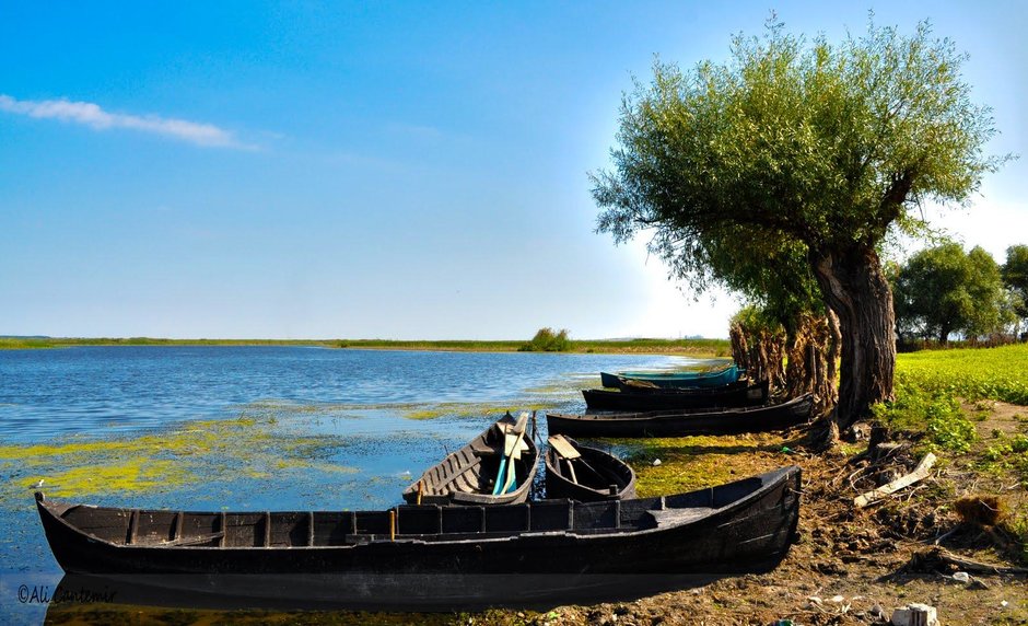 Unde poti ajunge cu masina in Delta?