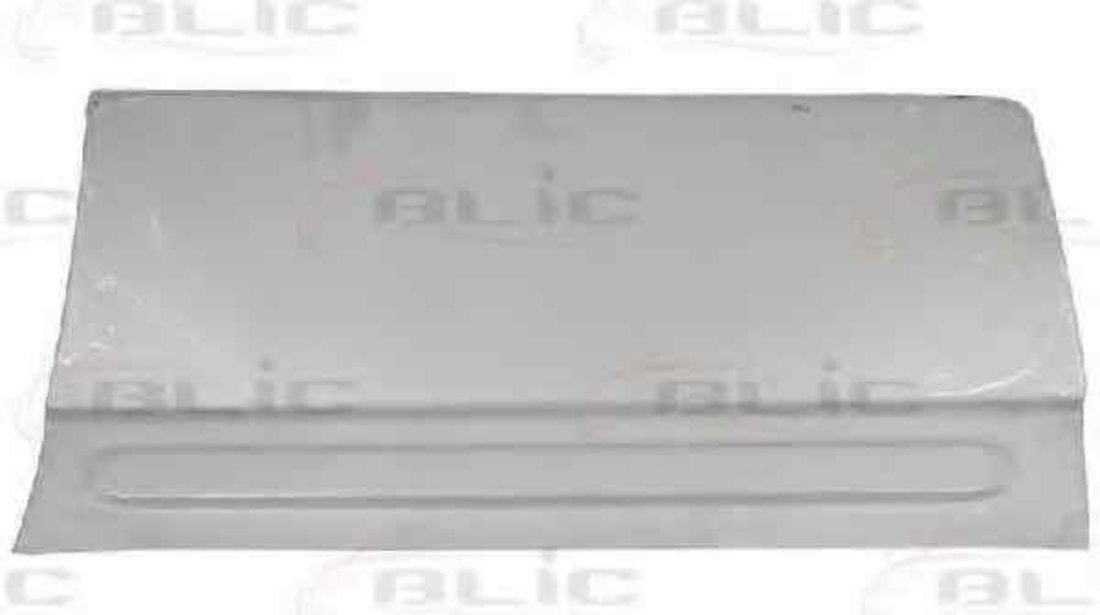 Usa, caroserie MERCEDES-BENZ SPRINTER 5-t caroserie (906) BLIC 6015-00-3548122P