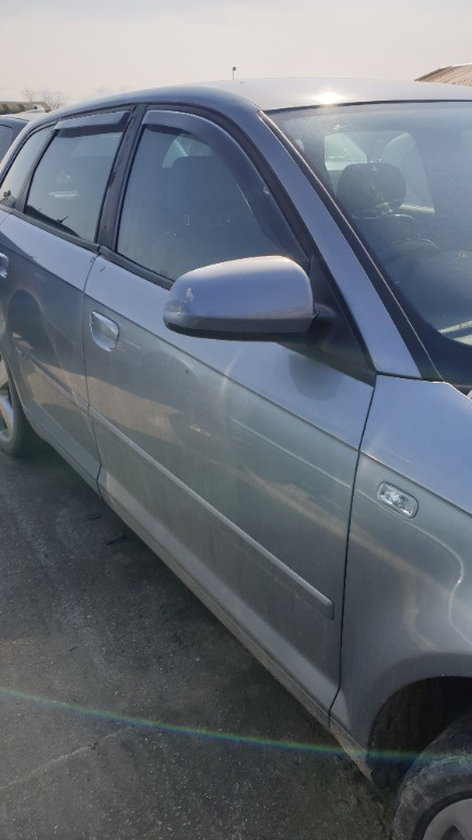 Usa dreapta fata Audi A3 8L 2007 Hb 2.0
