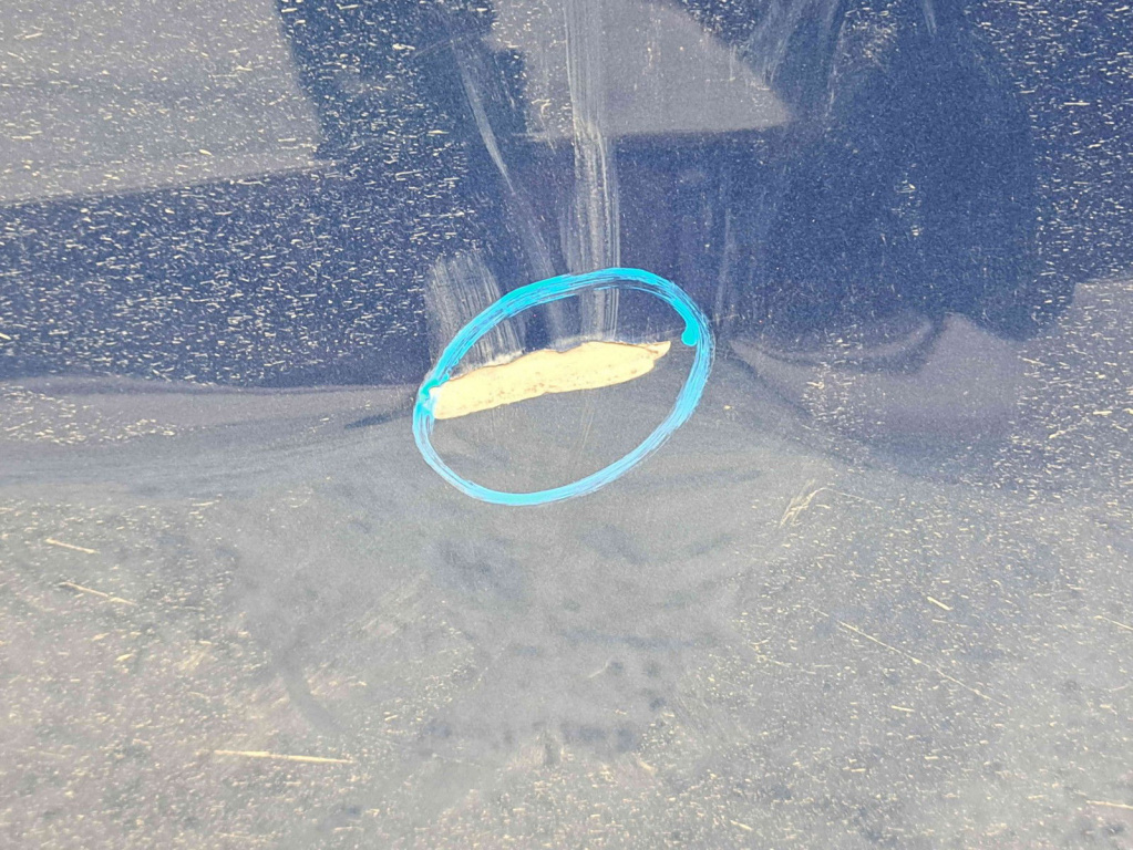 Usa dreapta fata Ford Focus 2 (DA) [Fabr 2004-2012] OCEAN BLUE METTALIC