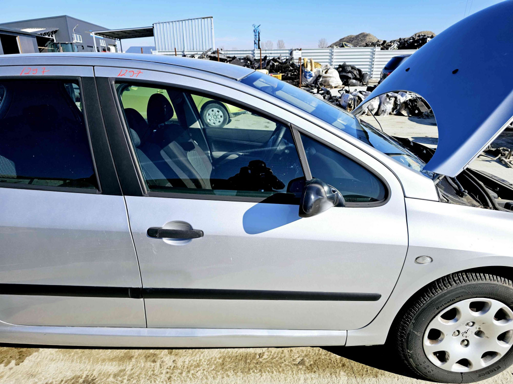 Usa dreapta fata Peugeot 307 [Fabr 2000-2008] EZR