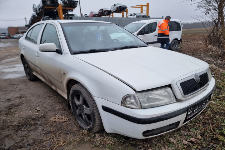 Usa dreapta spate complet echipata Skoda Octavia 2006 sedan/berlina 1.9 tdi