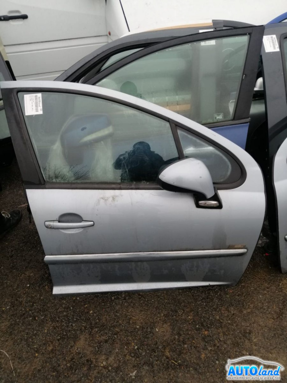 Usa Fata Dreapta Peugeot 207 2006