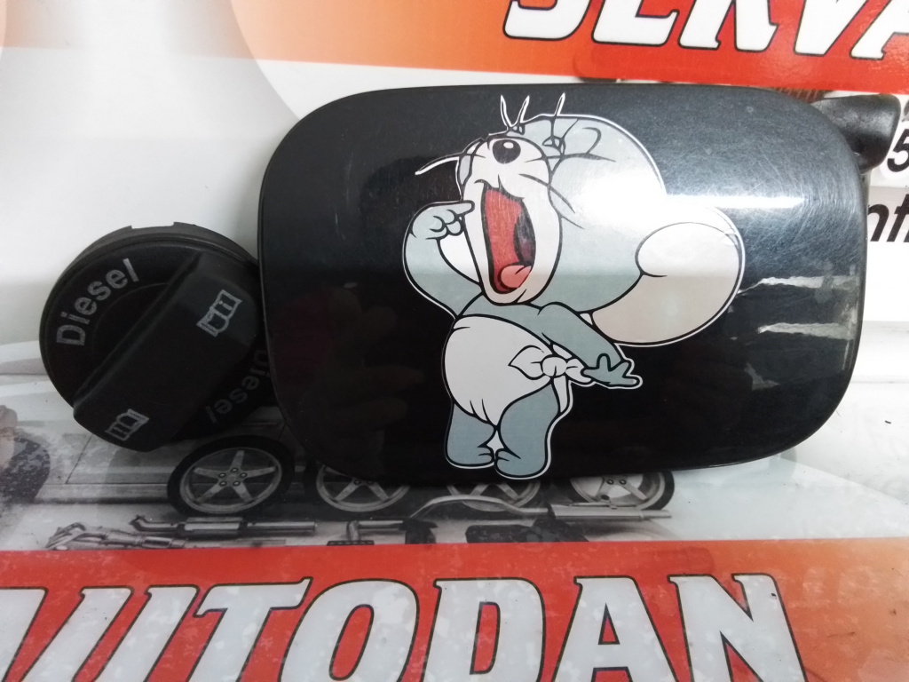 Usa rezervor Audi A4 (2001-2004) [8E2, B6] 2.0 Motorina 2002, 8E0010184H