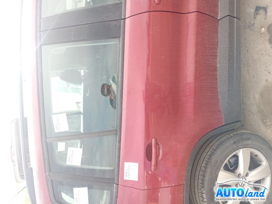 Usa Spate Dreapta Goala Volkswagen TIGUAN 2007