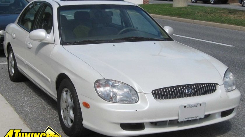 Usa stanga spate Hyundai Sonata an 2000