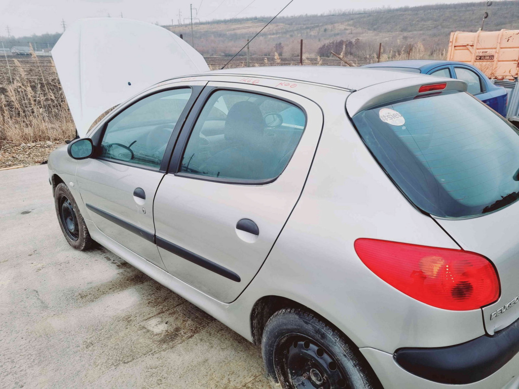 Usa stanga spate Peugeot 206 [Fabr 1998-2009] ETS