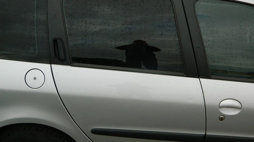 Usi spate Peugeot 206sw model 2004