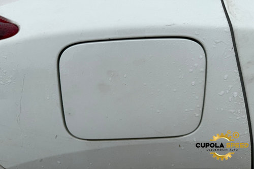Usita rezervor culoare 326 Brilliant White Nissan Juke YF15 [2010 - 2014]