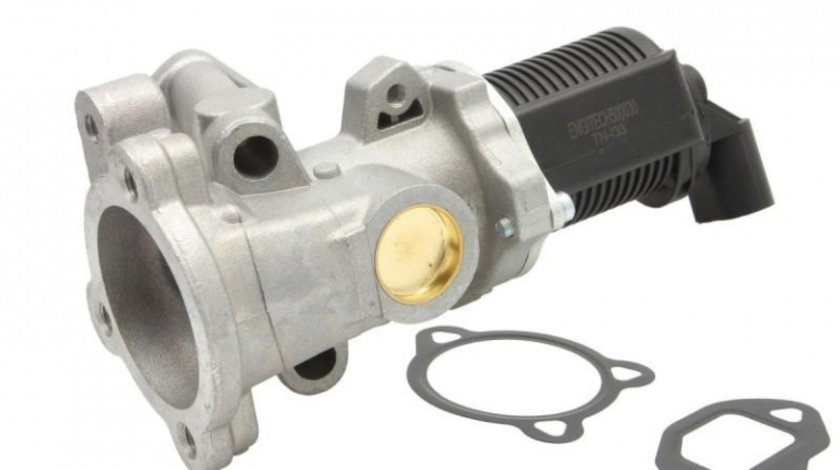 Valva egr Fiat LINEA (323) 2007-2016 #4 458030