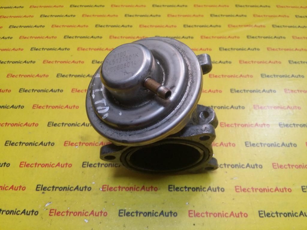 Valva EGR VW, 045131501K, 100808014