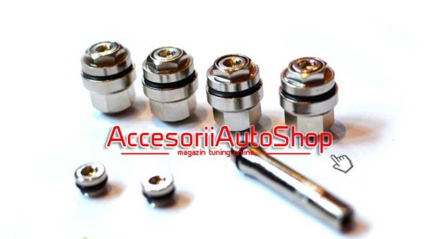 Valve ascunse inox cu ventil special inclus 13 EURO SETUL de 4