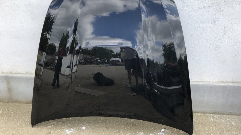 Vand capota BMW X5 E70 X6 E71