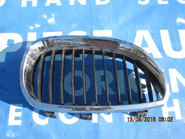 Vand grila radiator BMW E60 2006;51137027061