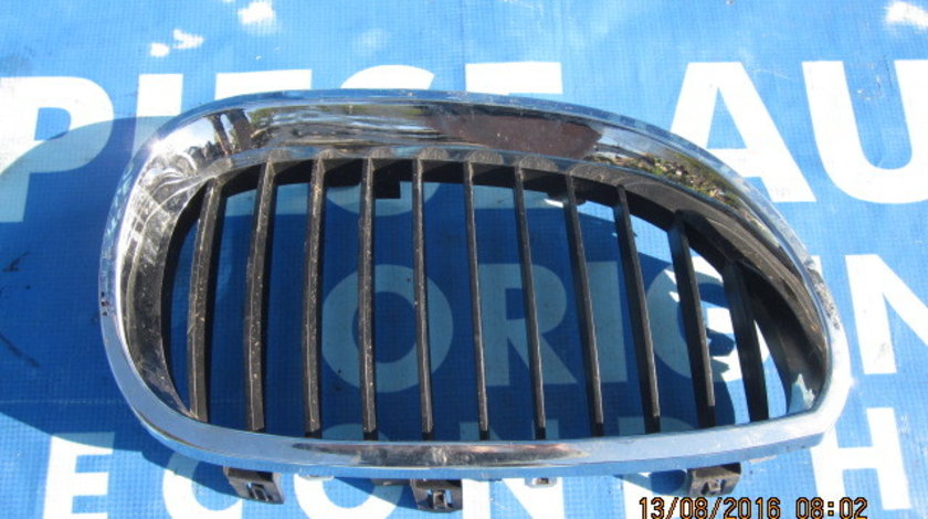 Vand grila radiator BMW E60 2006;51137027061