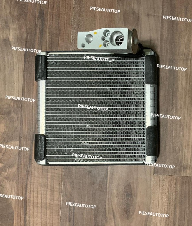 Vaporizator Dacia Dokker 2012-2020 NOU DT482465-0660