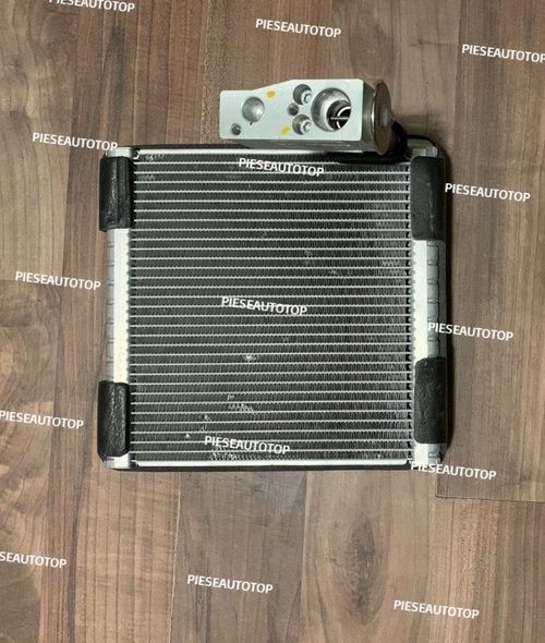 Vaporizator Dacia Dokker 2012-2020 NOU DT482465-0660