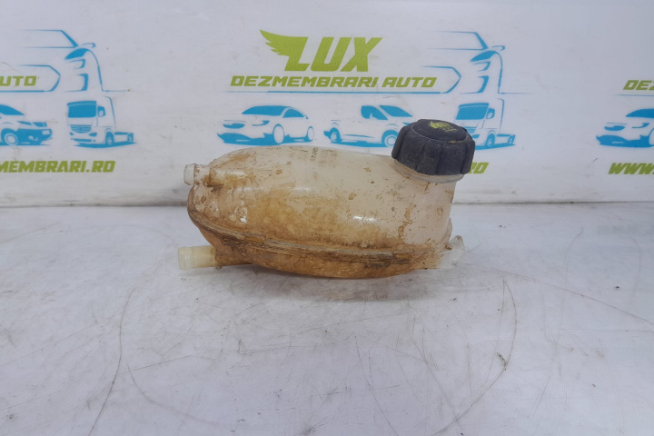 Vas antigel 217102572r Renault Captur 2 [2019 - 2020] 1.0 TCE H4D460