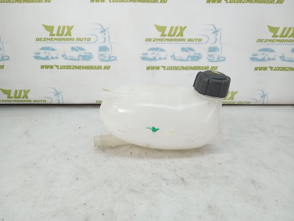 Vas antigel 217102572r Renault Captur 2 [2019 - 2020]