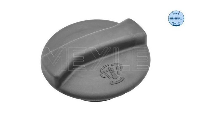 Vas de expansiune, racire Seat SEAT IBIZA (021A) 1984-1993 #2 02264