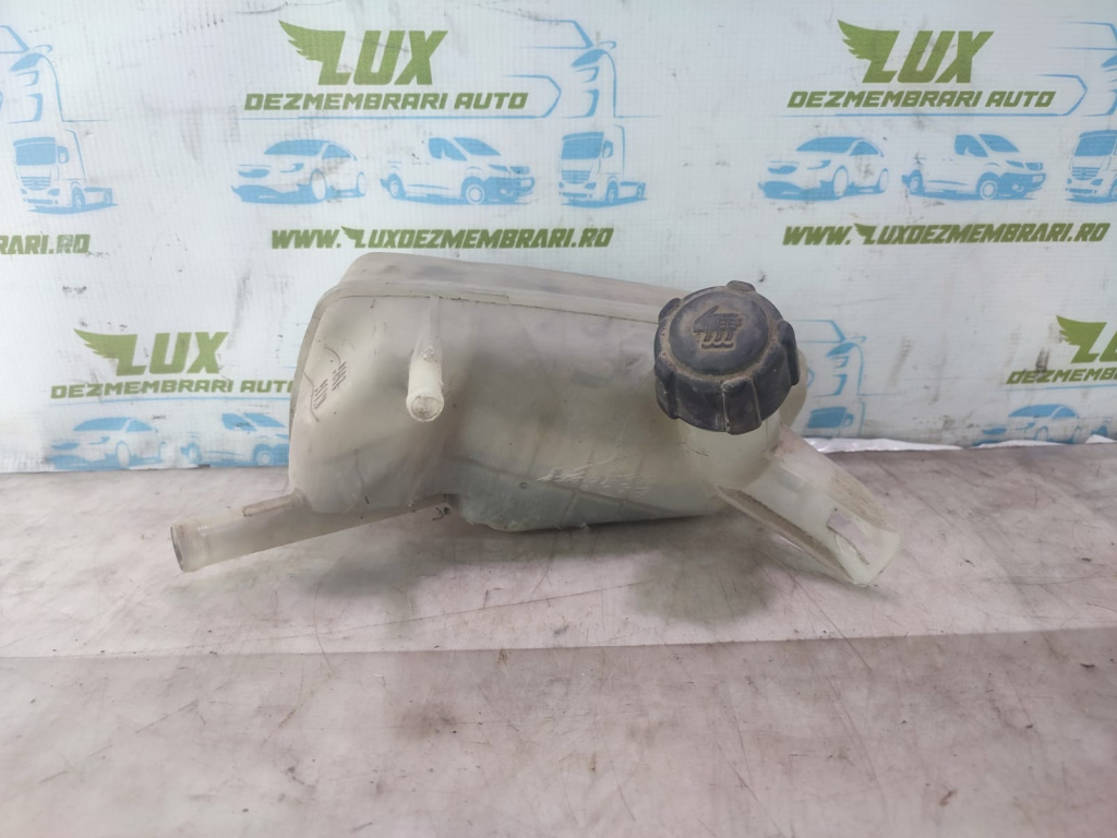 Vas expansiune 00074100e Renault Megane 2 [2002 - 2006]