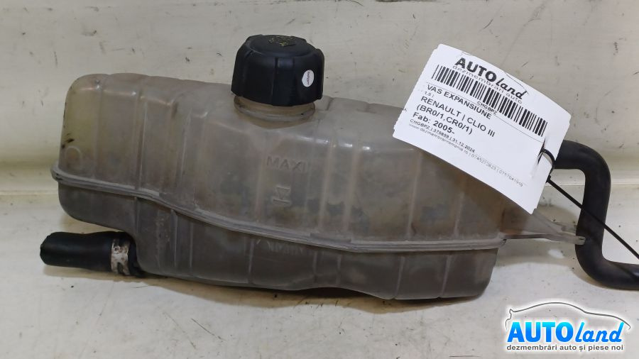 Vas Expansiune 1.5 Renault CLIO III BR0/1,CR0/1 2005